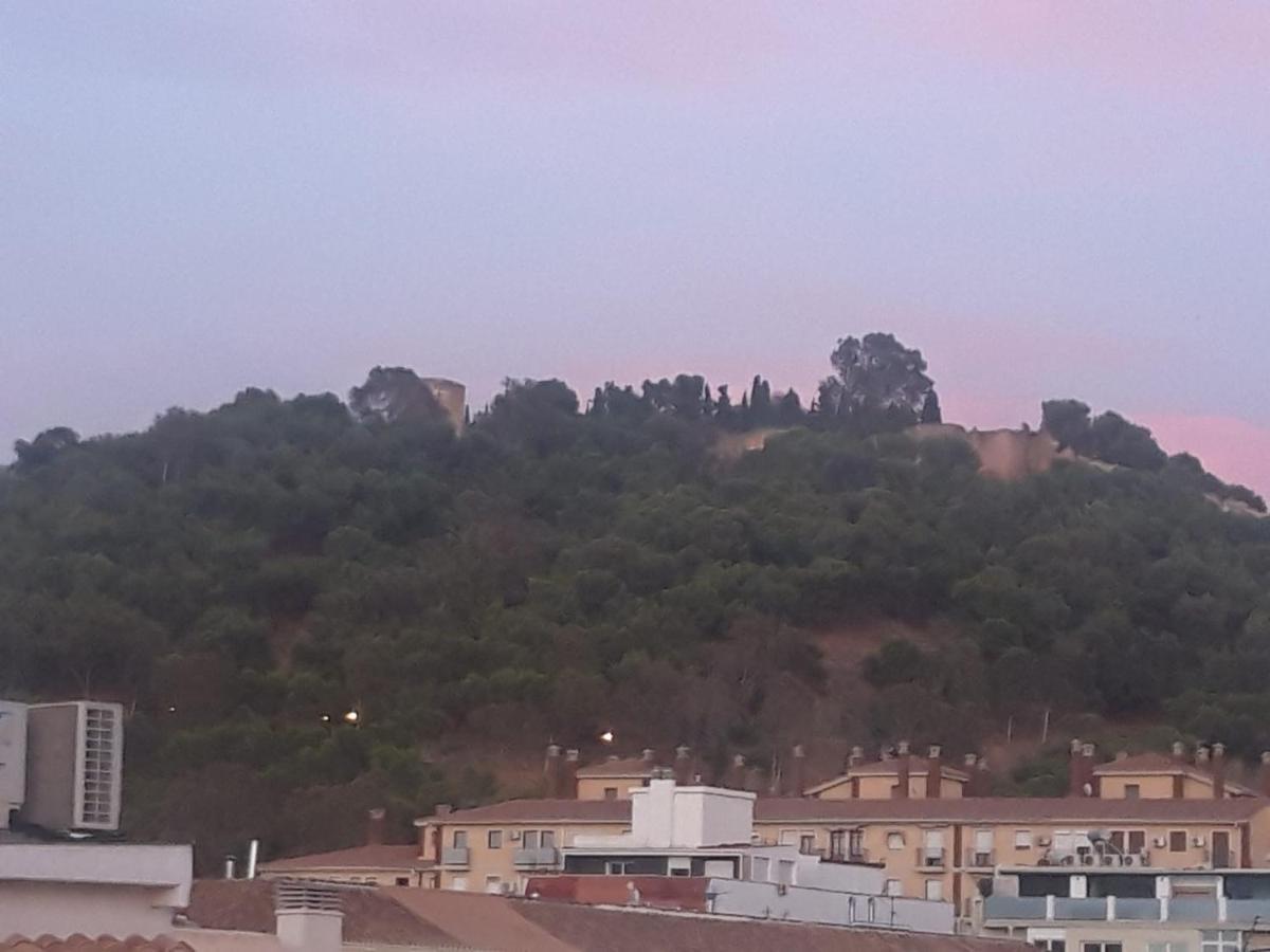 Apartamentos Marques De La Merced Malaga Bagian luar foto